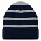 Team Navy/Silver