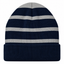 Team Navy/Silver