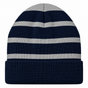 Team Navy/Silver