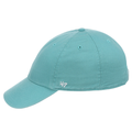 47 Brand Clean Up - Turquoise
