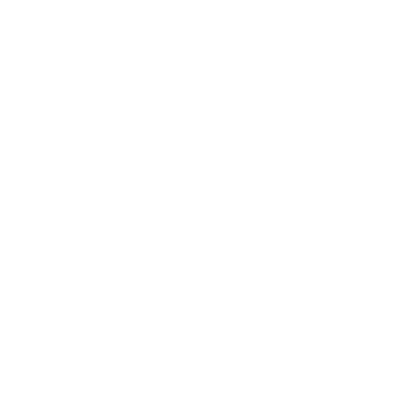 Intro