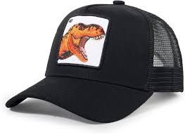 Trucker Hat Baseball Cap